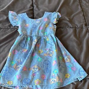 Paw patrol dress
